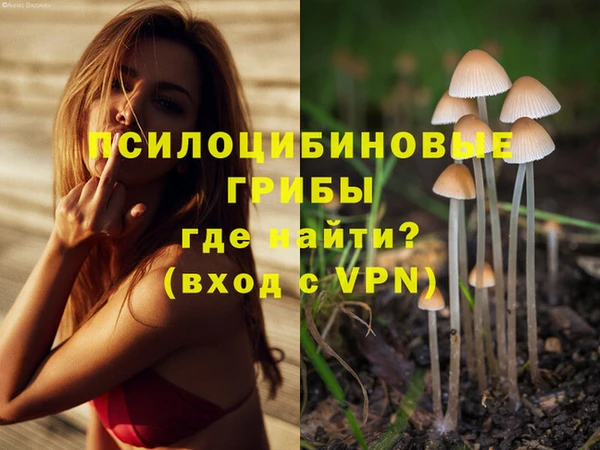 метадон Каменск-Шахтинский