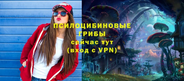 скорость mdpv Каменка