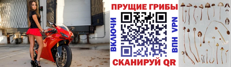 Галлюциногенные грибы Magic Shrooms  Купить где  Бикин 